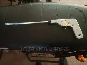 Electronic Gas Ignitor