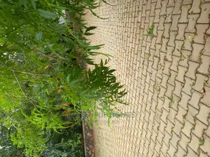 Furnished 4bdrm Bungalow in Kira Wealthy Estate for Sale