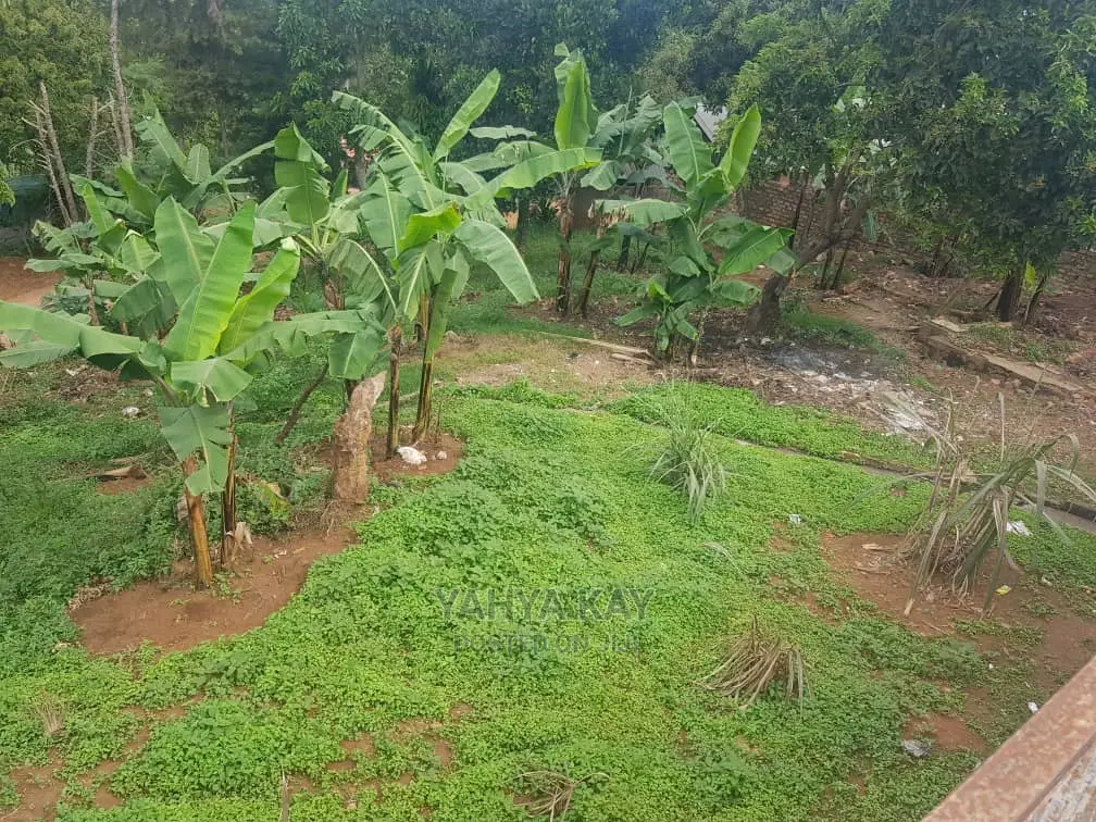 Furnished 3bdrm Mansion in Nyendo for sale
