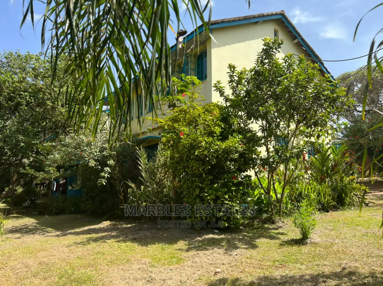 6bdrm House in Kololo, Central Division for Rent