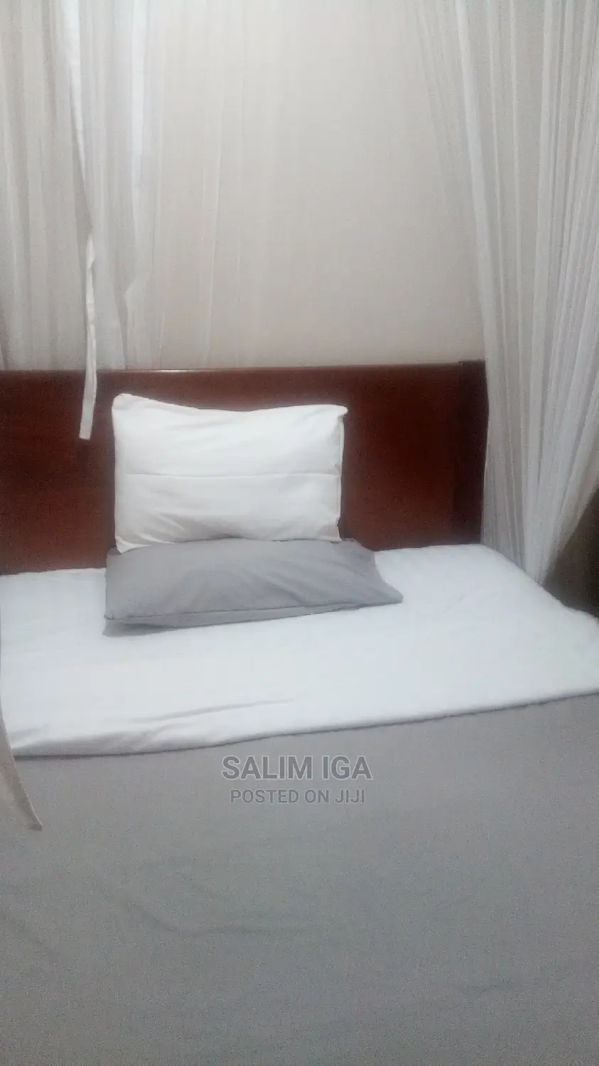 Furnished 2bdrm Block of Flats in Kololo Property, Central Division