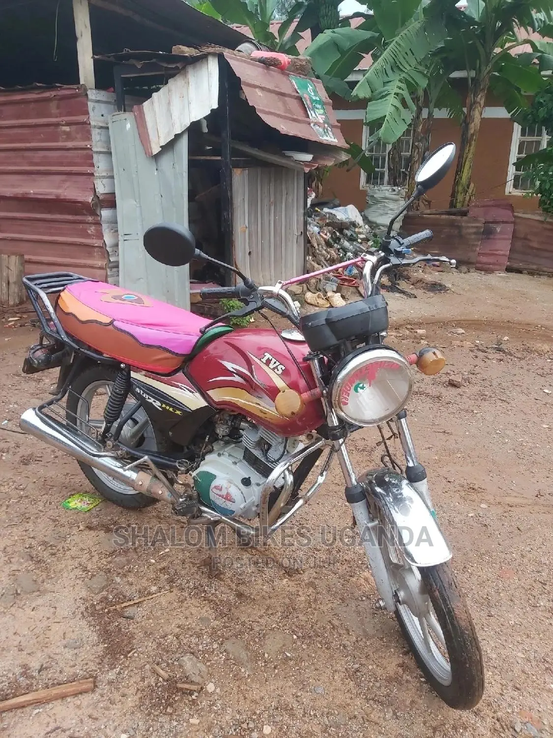 TVS Apache 160 4V 2019 Purple