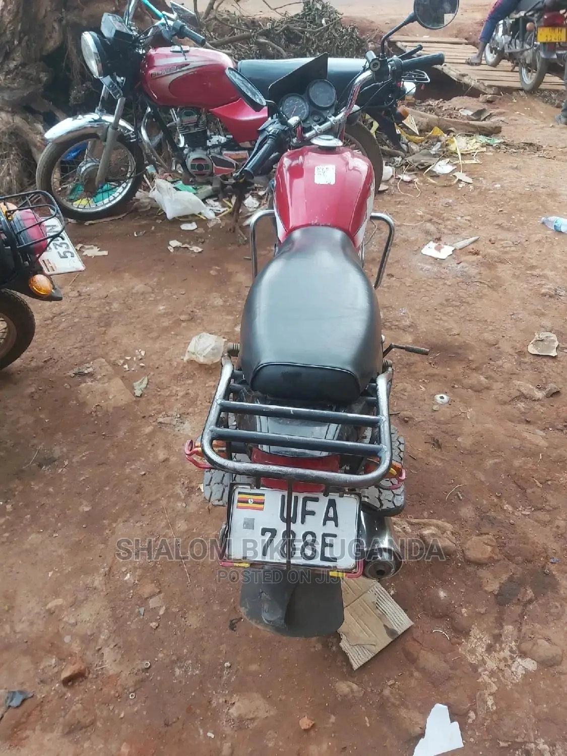 Bajaj 2020 Purple