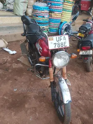 Bajaj 2020 Purple