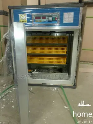264 Egg Incubator