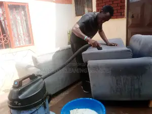 Fabric Sofa Cleaning in Progress