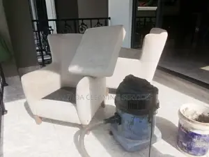 Faster Sofa Cleaning in Progress