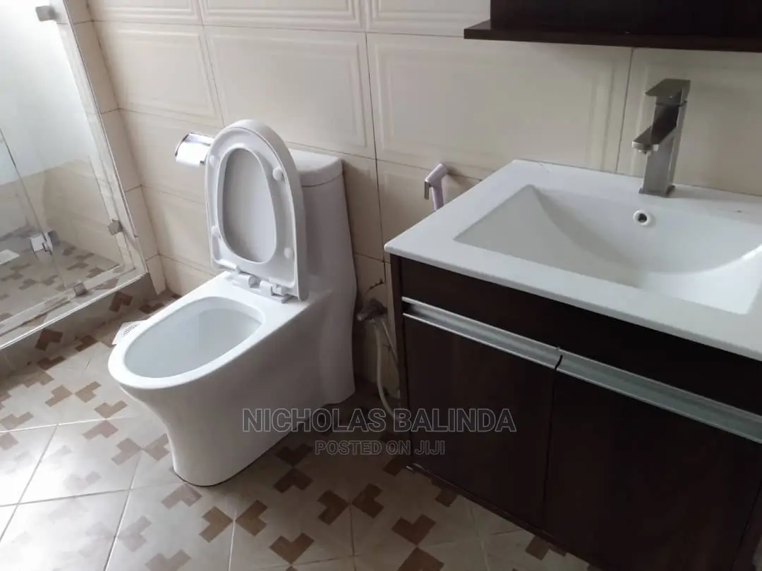 Make Your Washrooms in the House Clean and All House