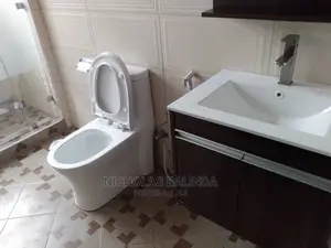 Make Your Washrooms in the House Clean and All House