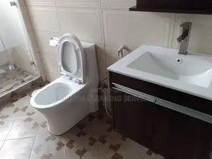 Make Your Washrooms in the House Clean and All House