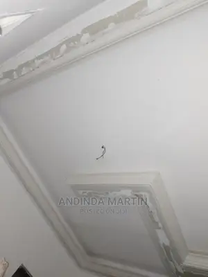 Photo - Gypsum Ceiling