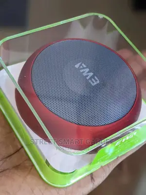 EWA A110 Metallic Plaited Speaker