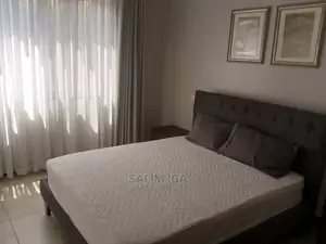 Furnished 2bdrm Block of Flats in Kololo Property, Central Division