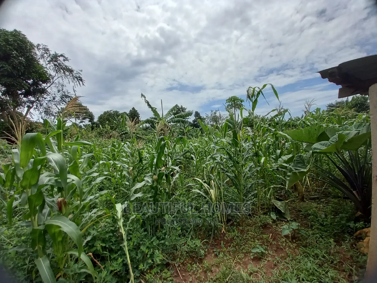 Land in Kira on Sell