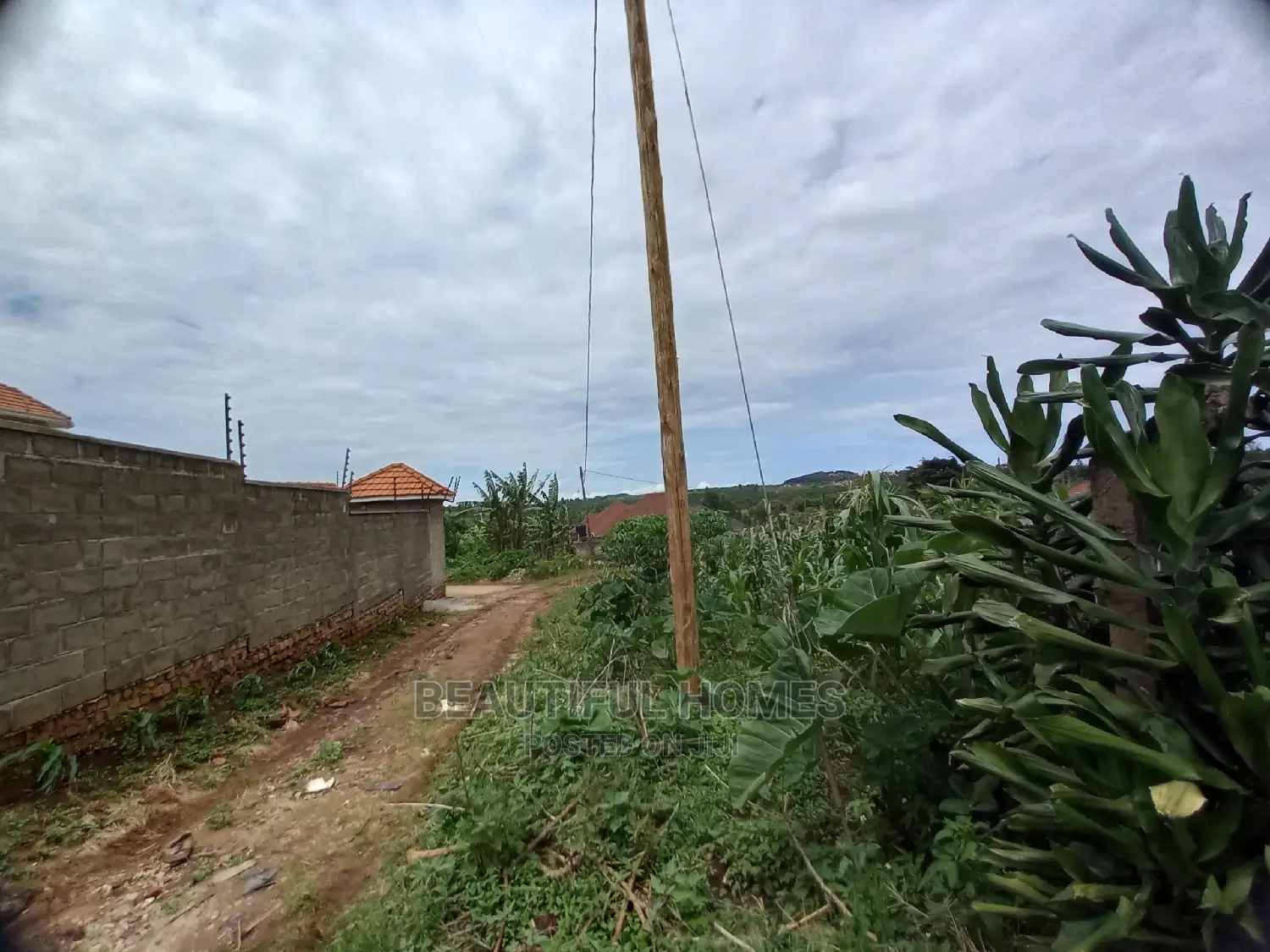 Kira Land for Fast Sell