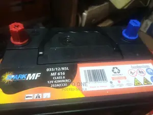 N40 Maintenance Free Spark Batteries