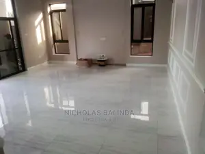 House Deep Cleaning in Progress