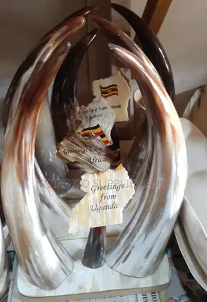 Tradition in Your Office