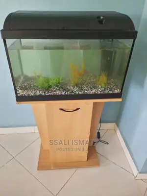 Simple Aquarium and Cheaper