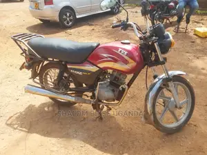 TVS Apache 180 RTR 2014 Gray