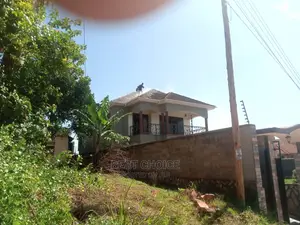Photo - Roof Cleaning Services That Guarantee the Best Results.