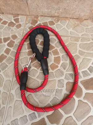 Red Dogs' Leash