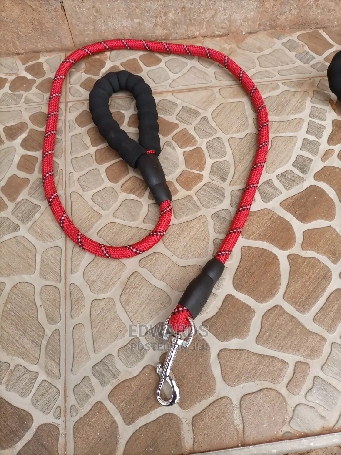 Red Dogs' Leash