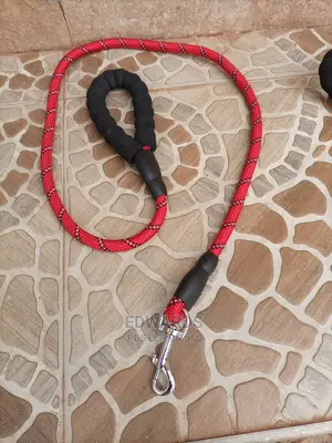 Red Dogs' Leash