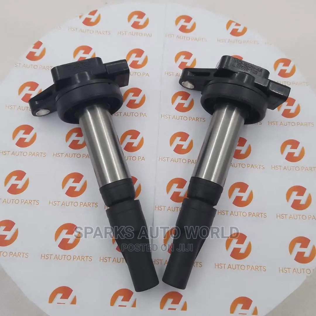 Original Ignition Coils