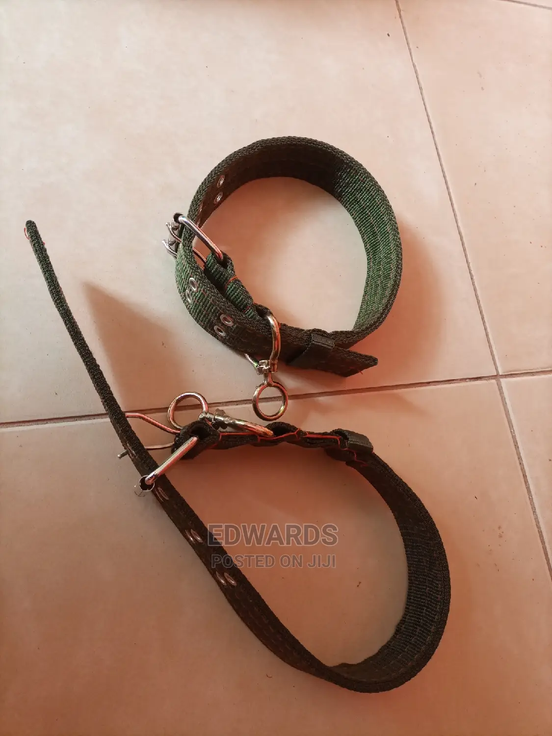 Green Dog Collars Size 2