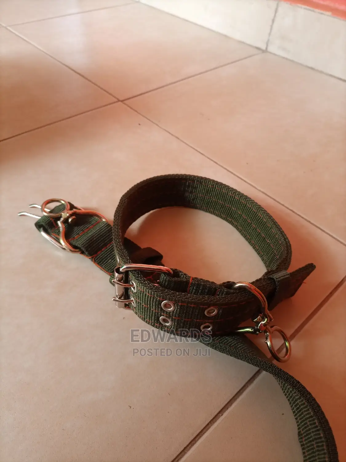 Green Dog Collars Size 2