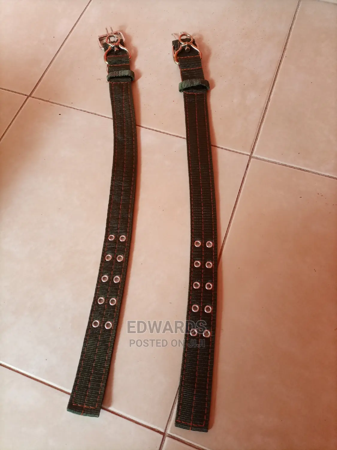 Green Dog Collars Size 2