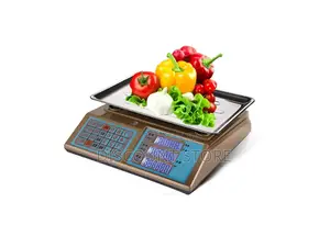 Market Place Electronic Computing Weighing Scales.