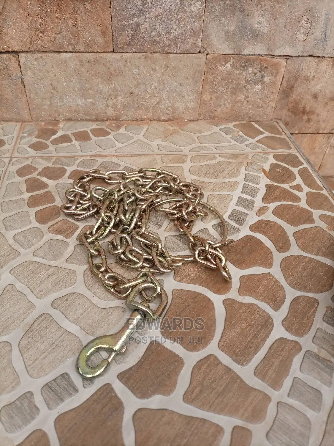 Dog Chains 1