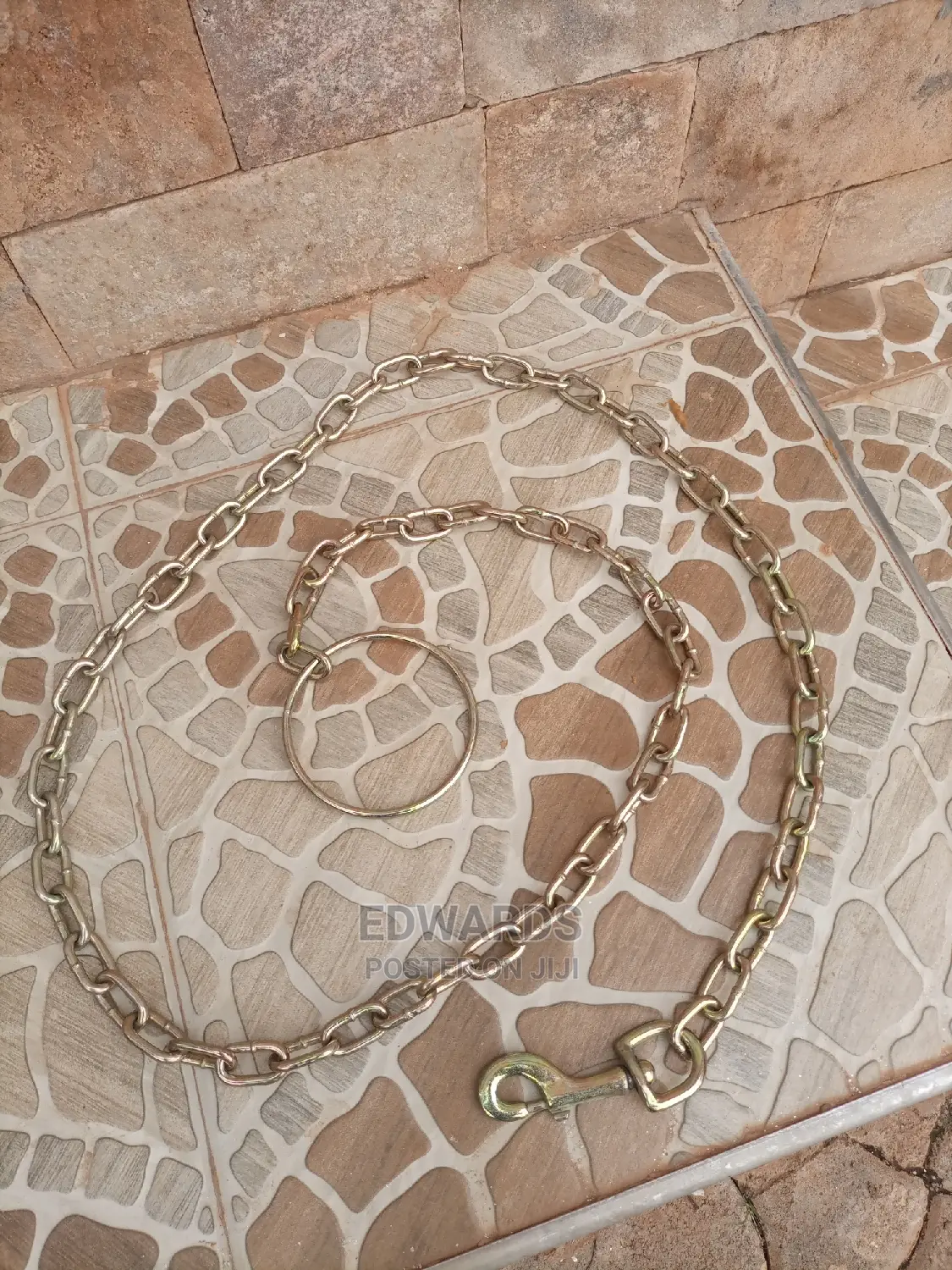 Dog Chains 1
