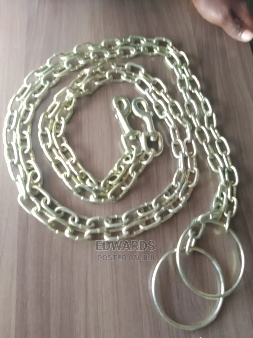 Chain for Dogs Size 3