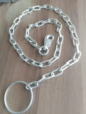 Chain for Dogs Size 3