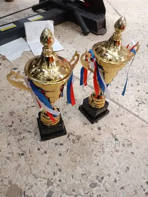 Sports Trophies Gold Original Material