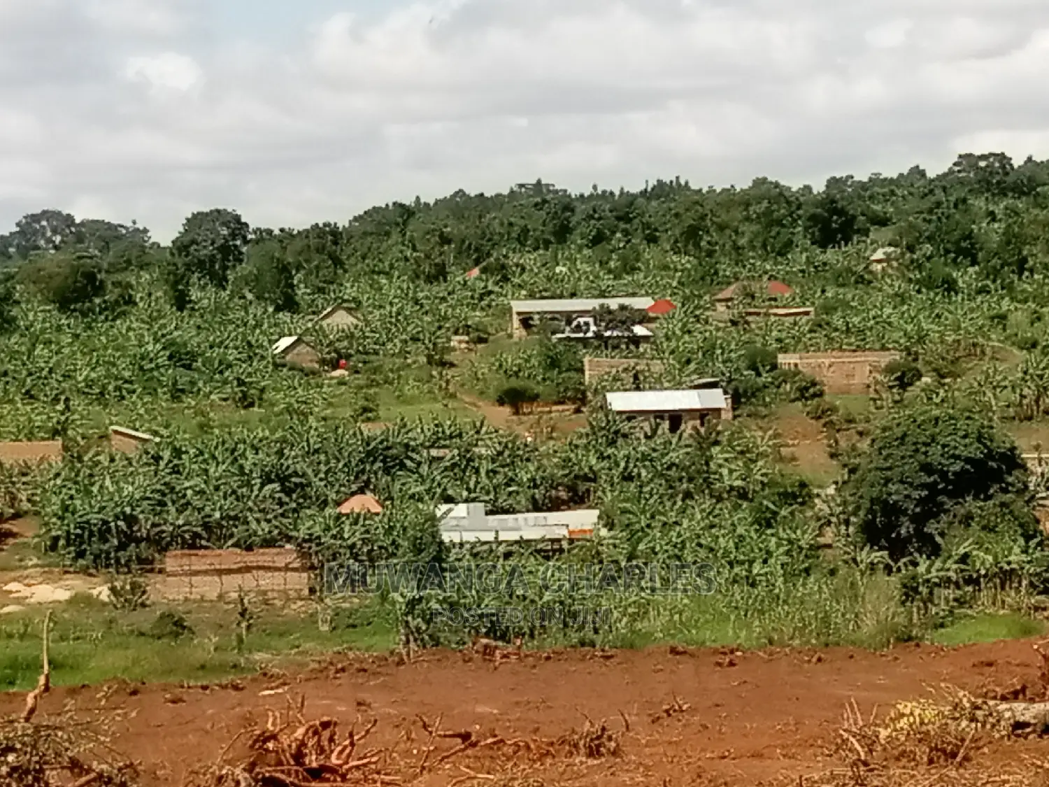 4acres of Land for Sale at Namulonge
