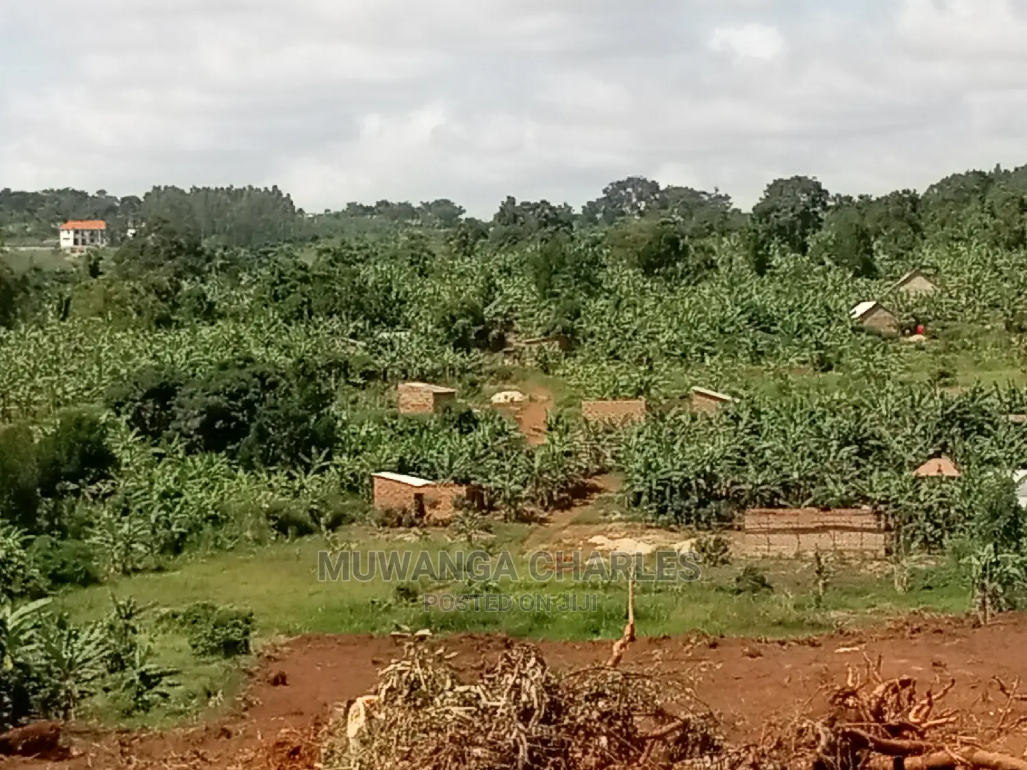 4acres of Land for Sale at Namulonge