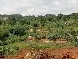 4acres of Land for Sale at Namulonge