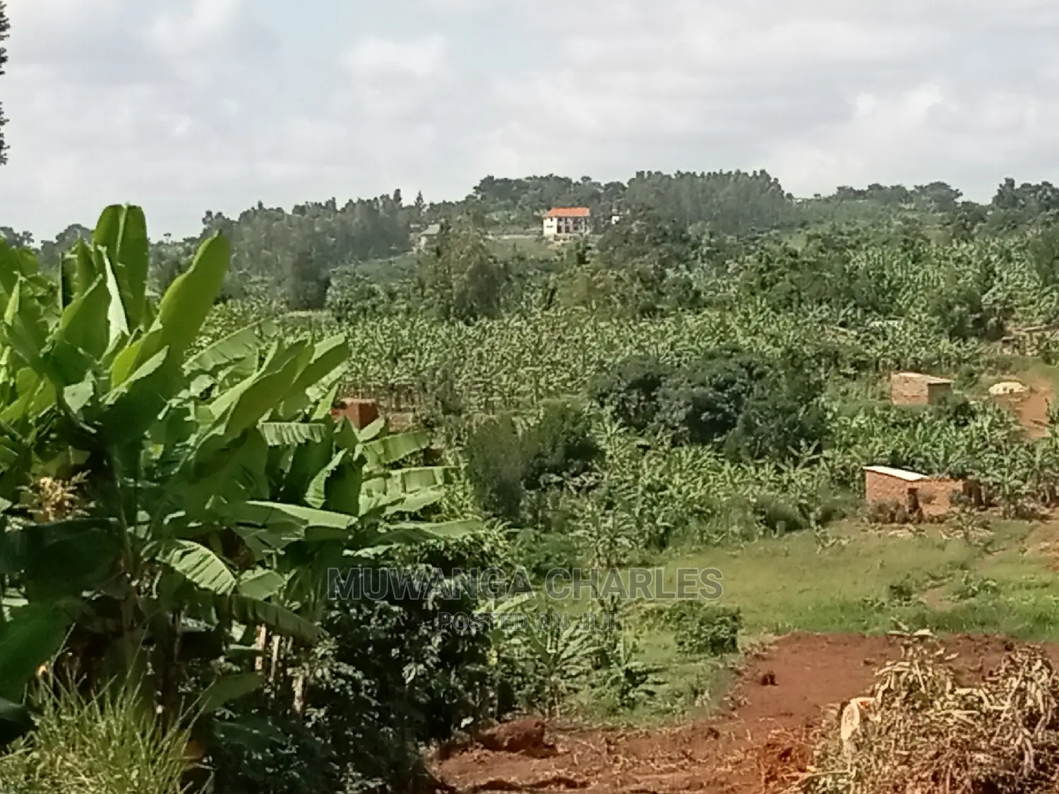 4acres of Land for Sale at Namulonge