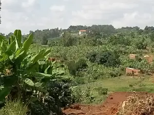 4acres of Land for Sale at Namulonge