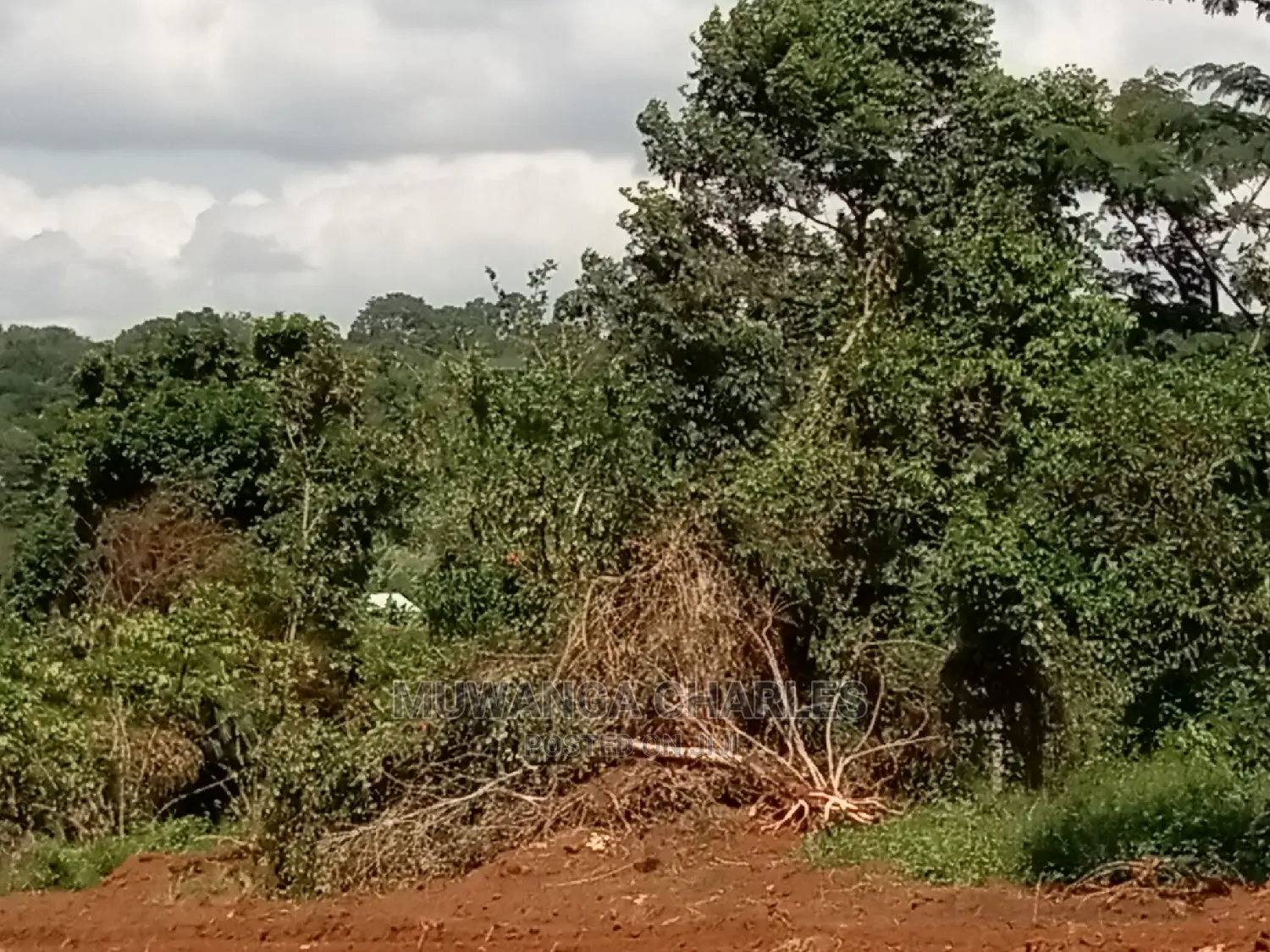 4acres of Land for Sale at Namulonge