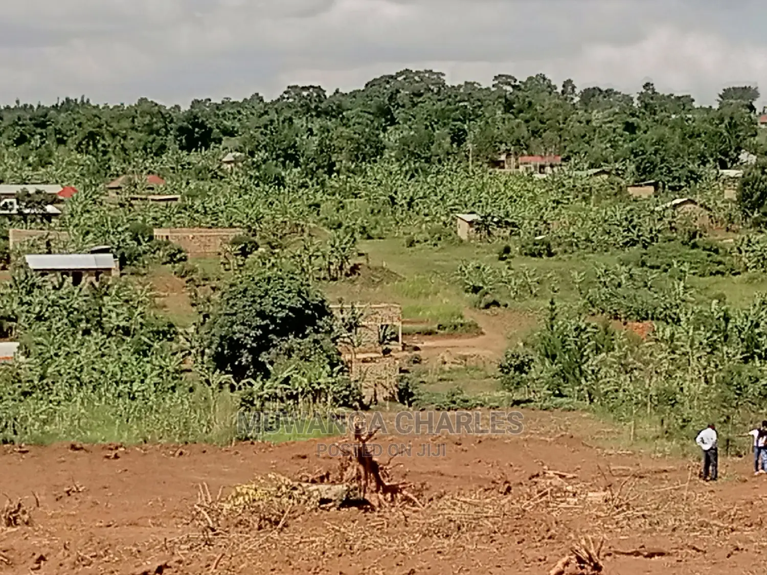 4acres of Land for Sale at Namulonge