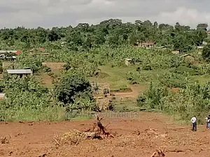 4acres of Land for Sale at Namulonge