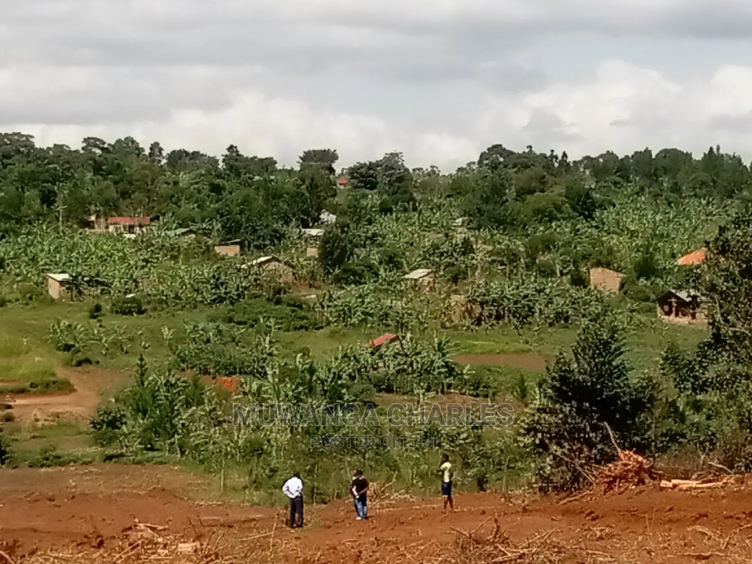 4acres of Land for Sale at Namulonge