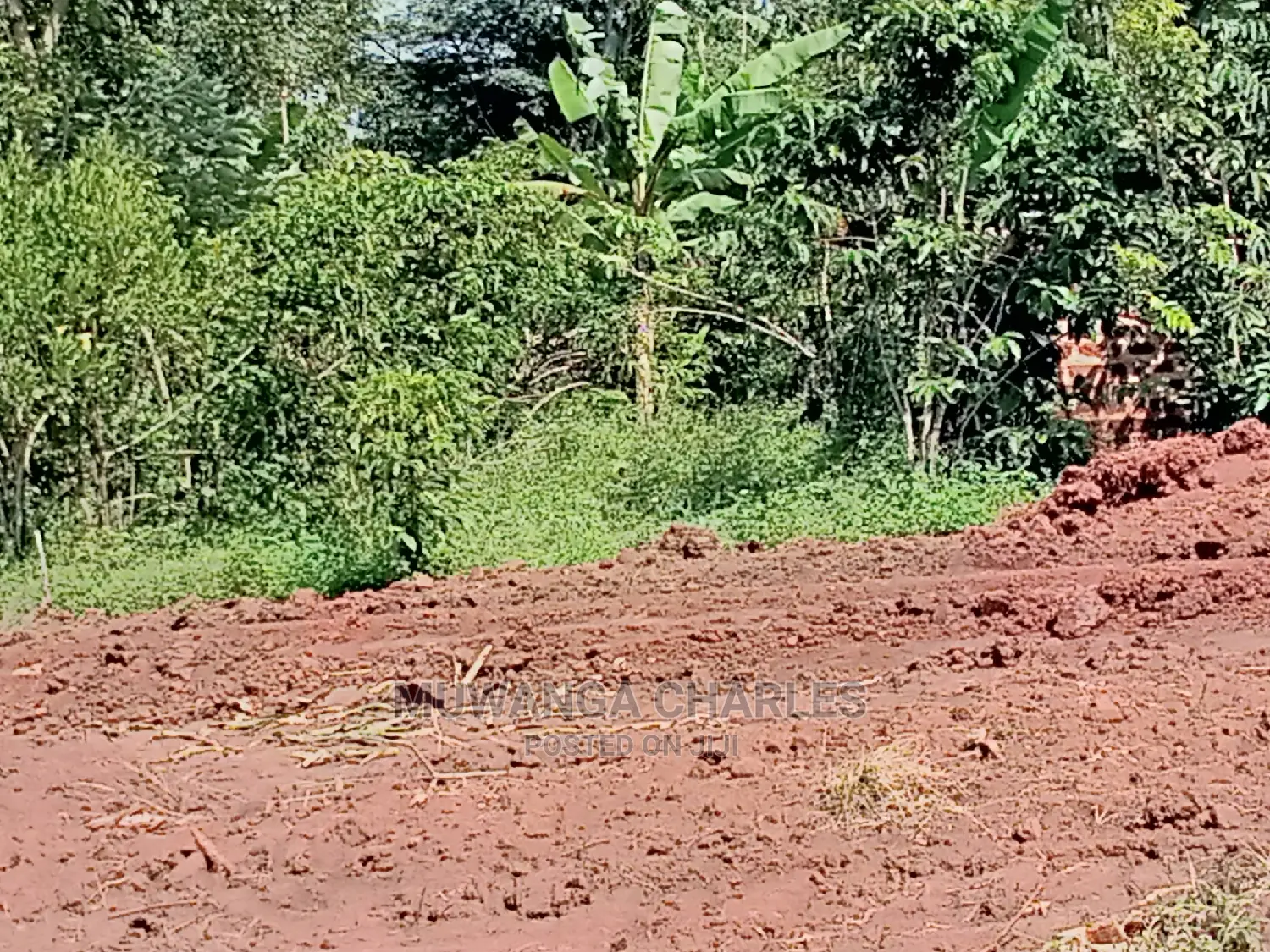 4acres of Land for Sale at Namulonge