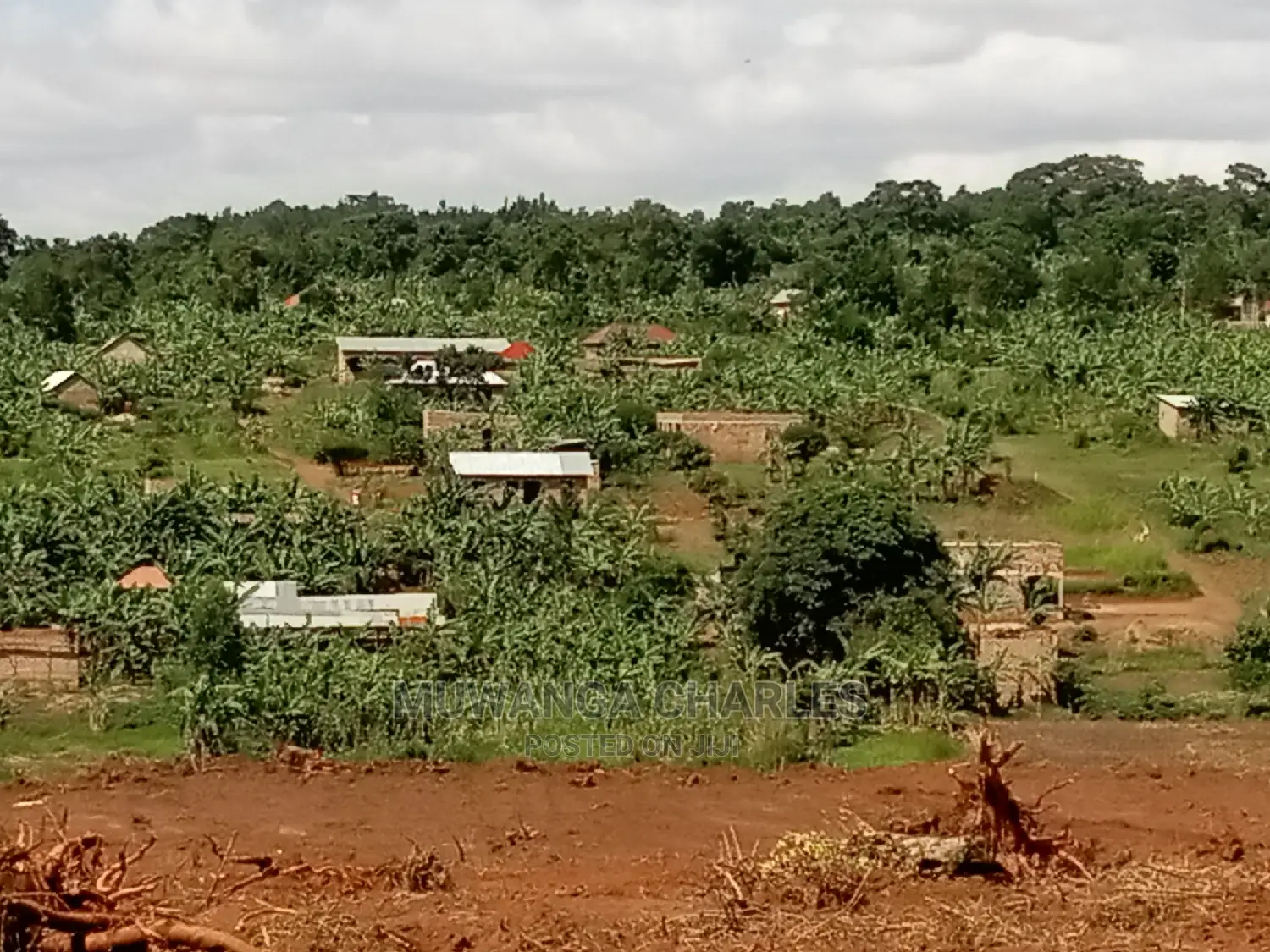 4acres of Land for Sale at Namulonge