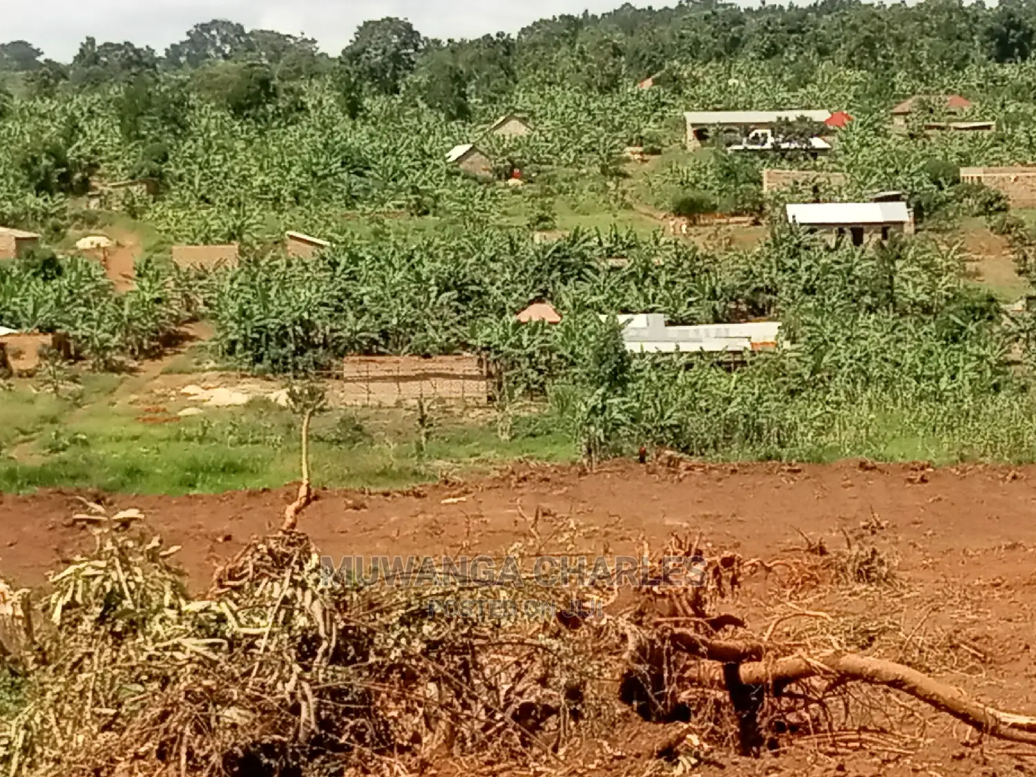 4acres of Land for Sale at Namulonge